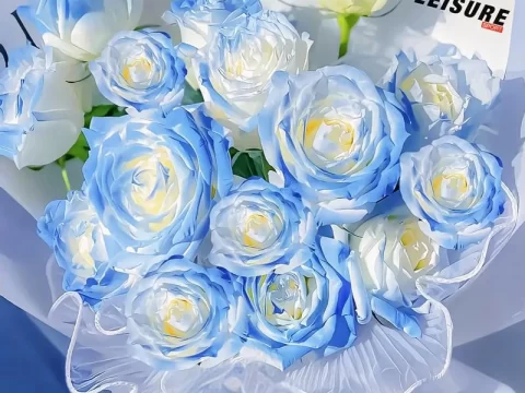 情人节送什么花合适？