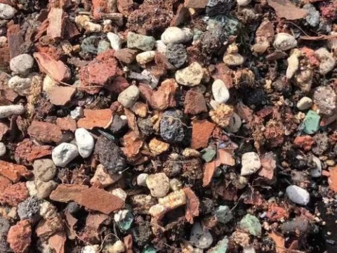 新手种多肉最适合用什么土？5大实用配土方案与养护技巧