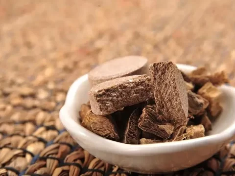 松根是什么？揭秘松树的“地下宝藏”与药用价值