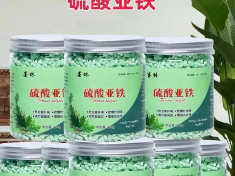 硫酸亚铁到底该给哪些植物用？养花新手必看的科学补酸指南