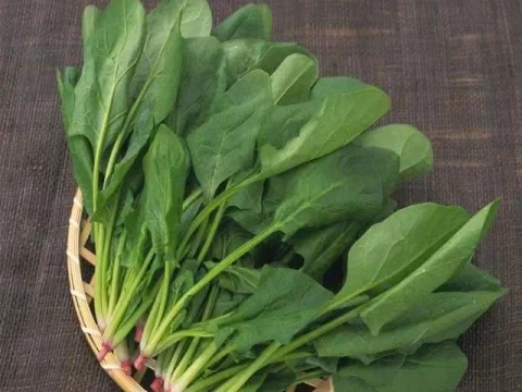 煮菠菜必须焯水吗？营养师教你正确做法，鲜嫩又健康