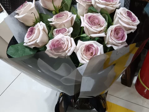 乌梅子酱玫瑰11朵花语解析：神秘高贵的爱，一生一世的承诺