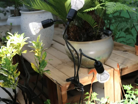 植物补光灯真的有效吗？科学解析与选购指南