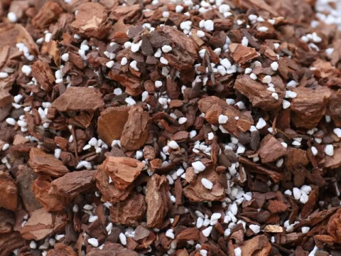 兰花土的配制方法：打造理想生长环境的秘诀