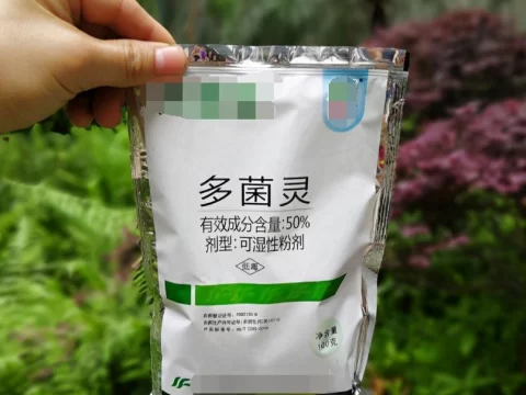 土壤杀菌用什么药效果好？全面解析高效杀菌方法