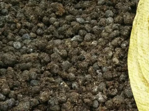 羊粪如何发酵做有机肥：简单易行的家庭制作指南