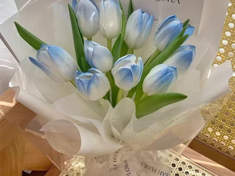 蓝色郁金香花语：神秘与希望的象征