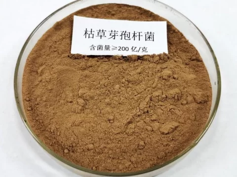 枯草芽孢杆菌适合哪些植物？这8类作物用了效果显著！