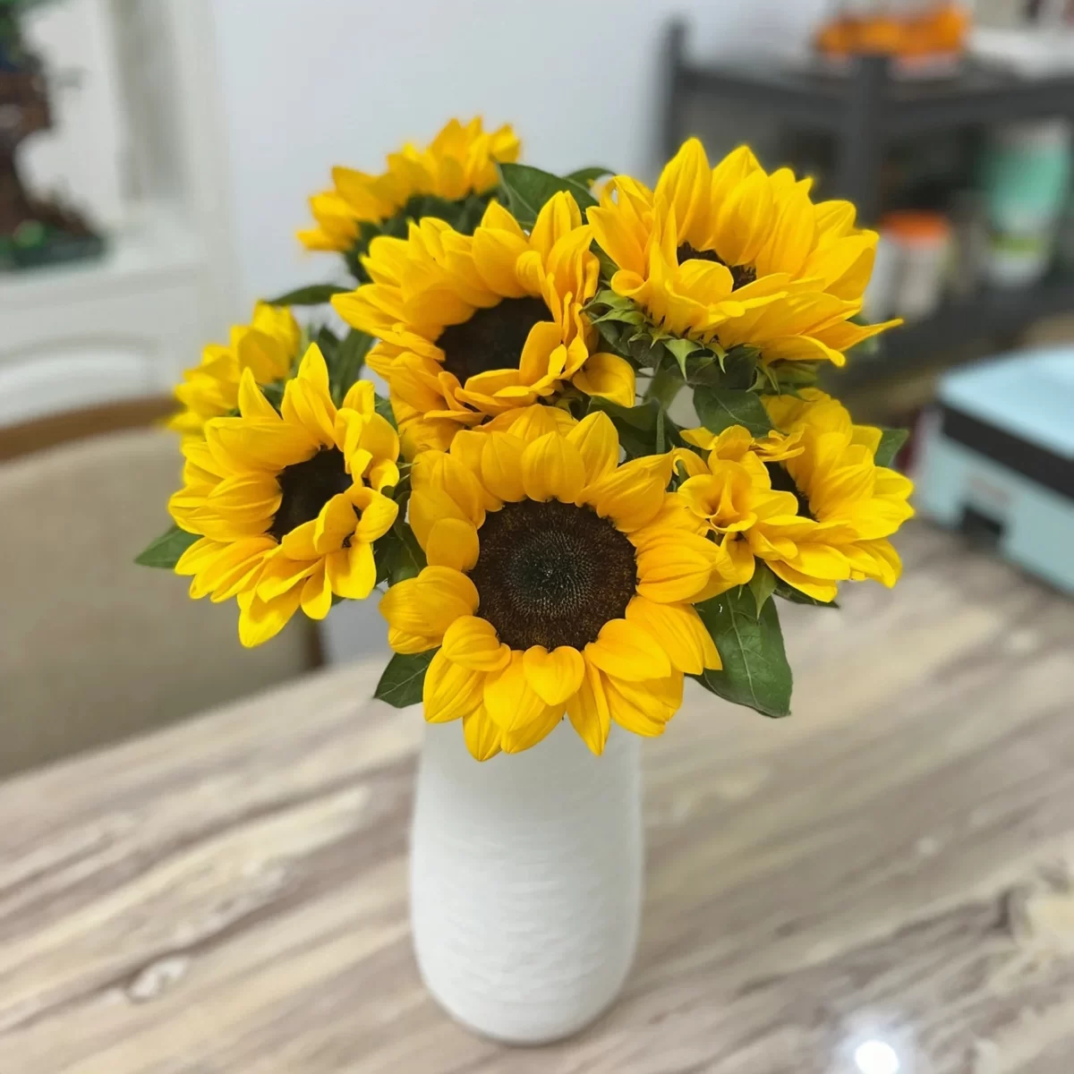 【切花向日葵多久开花】从播种到绽放的全周期指南