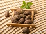 胖大海是什么东西？一种能泡出“清嗓神水”的植物种子