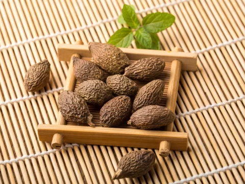 胖大海是什么东西？一种能泡出“清嗓神水”的植物种子