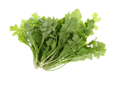 荠荠菜：春天里的绿色馈赠